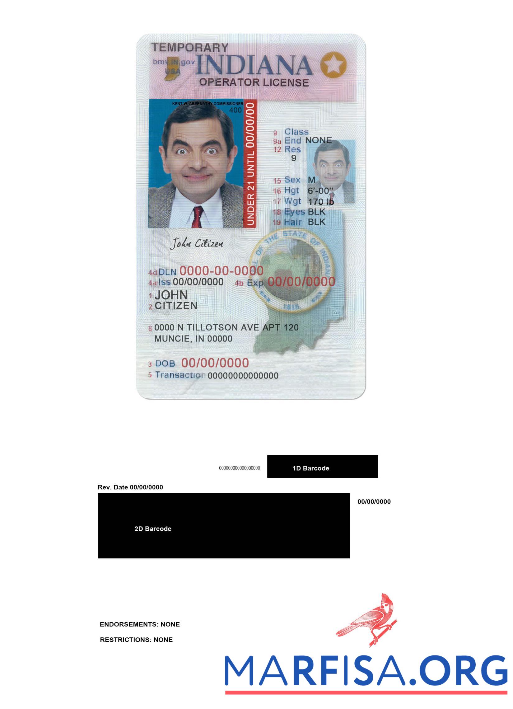 Printable USA Indiana driving (operator) license under 21 sample